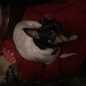 Meet your Posher, Lizabeth